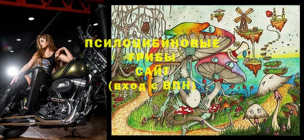 марки nbome Бородино