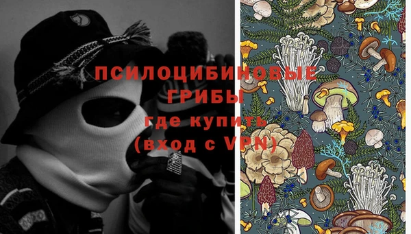 а пвп мука Богданович