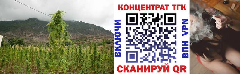 Купить закладки  Приморско-Ахтарск  Дистиллят ТГК вейп 